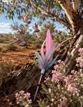 Ya Flamin Galah