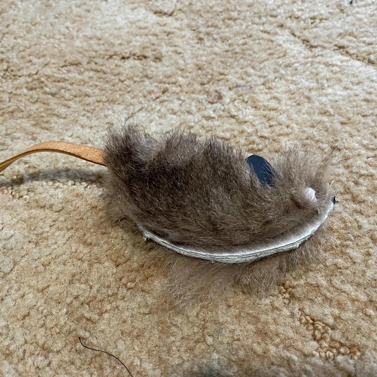 A natural brown mouse tail toy with a white belly and a small black ear, resting on a beige carpet.