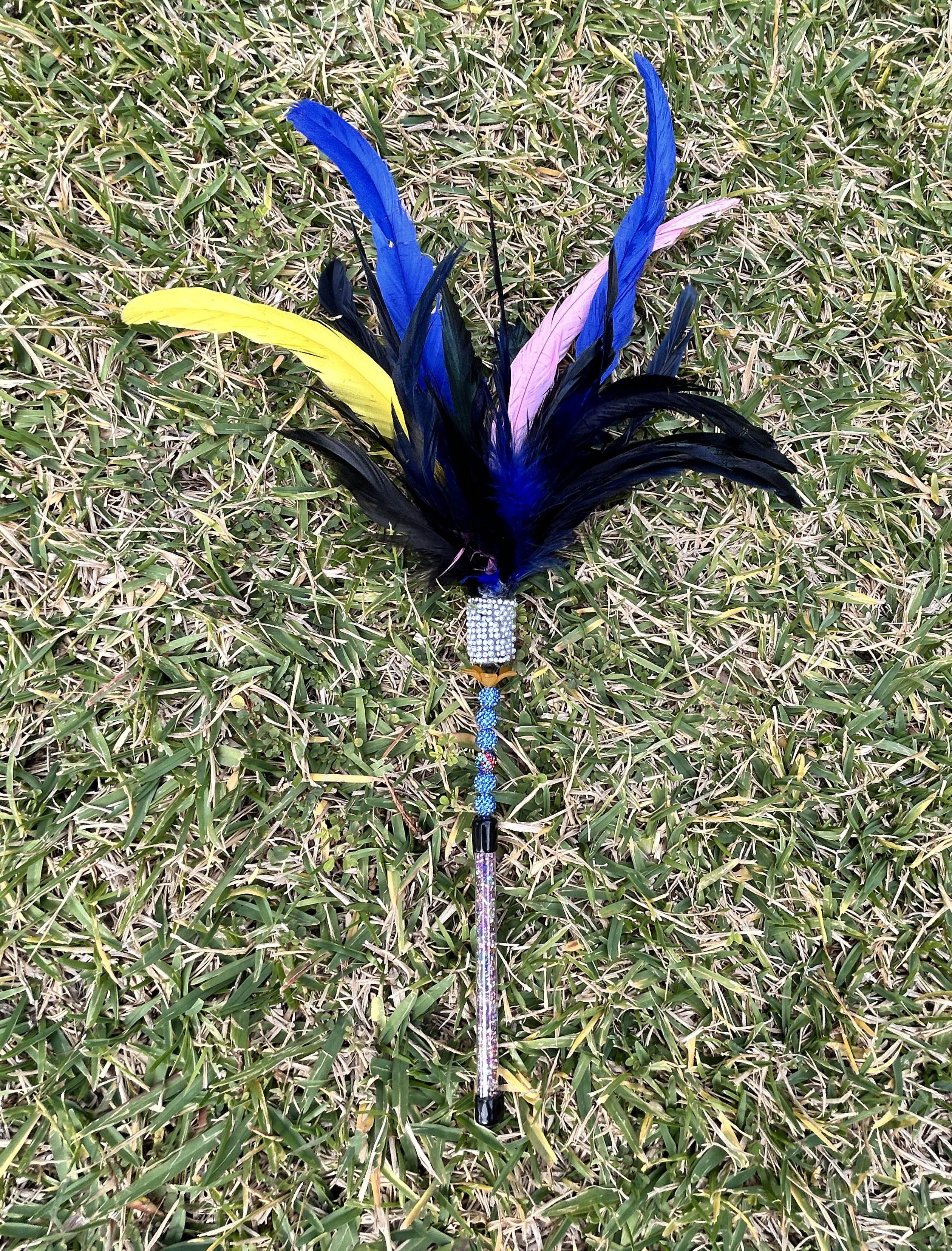 Cassowary Caper