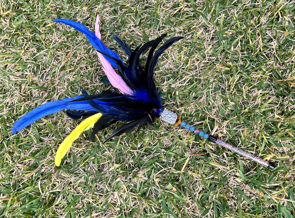 Cassowary Caper