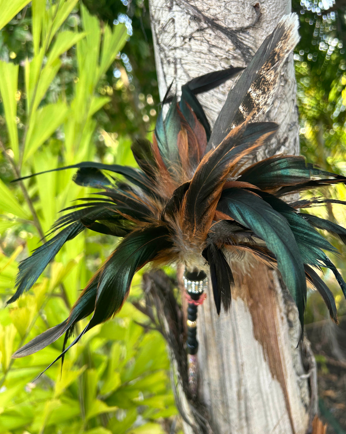 OOOO a Wedgie Feather Cat Teaser