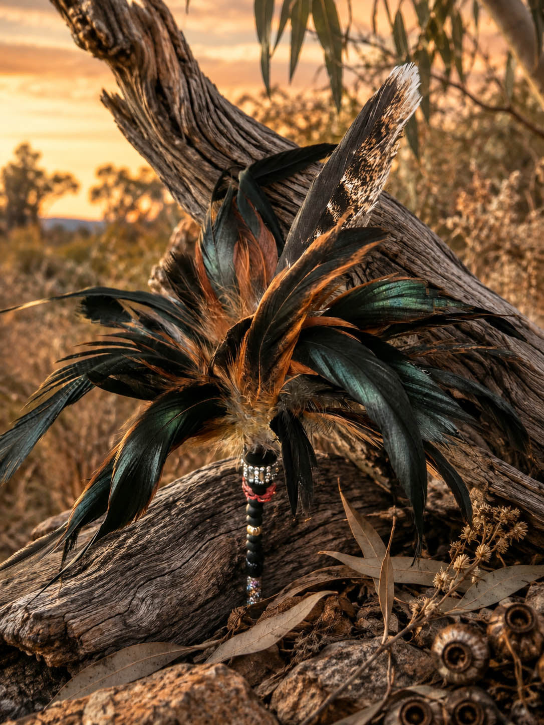Wedge Tail Eagle Feather Teaser