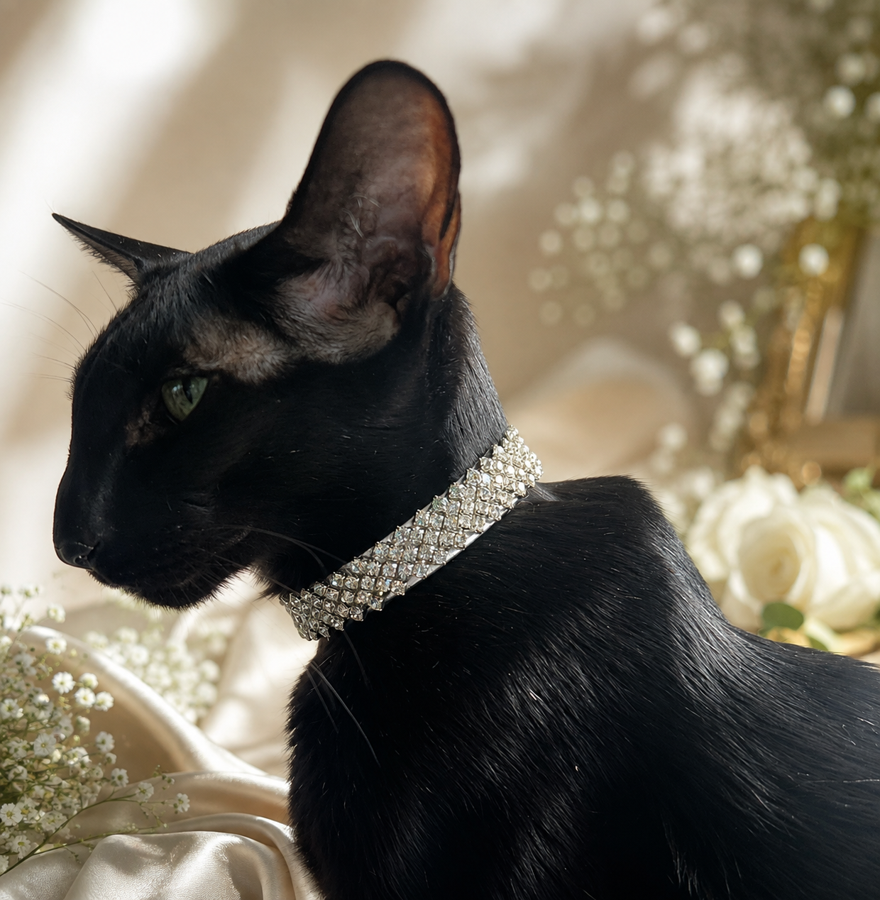 A black cat wearing a sparkling rhinestone collar, posed in profile against a soft, warm background with white flowers and draped satin.