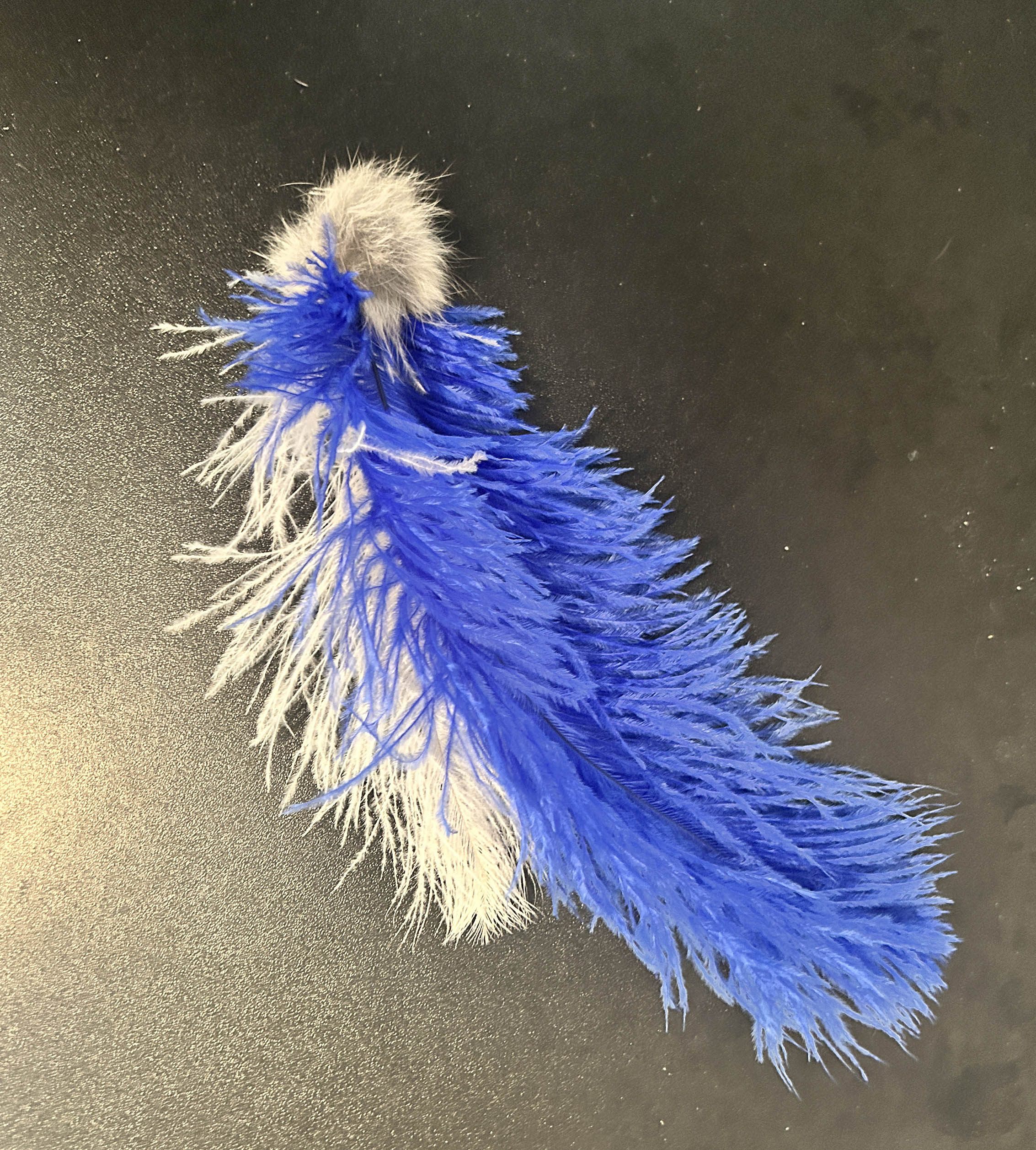 A decorative feather cat toy with bright blue feathers and white fluffy feathers, topped with a small gray faux-fur pom-pom, shown on a dark textured surface.