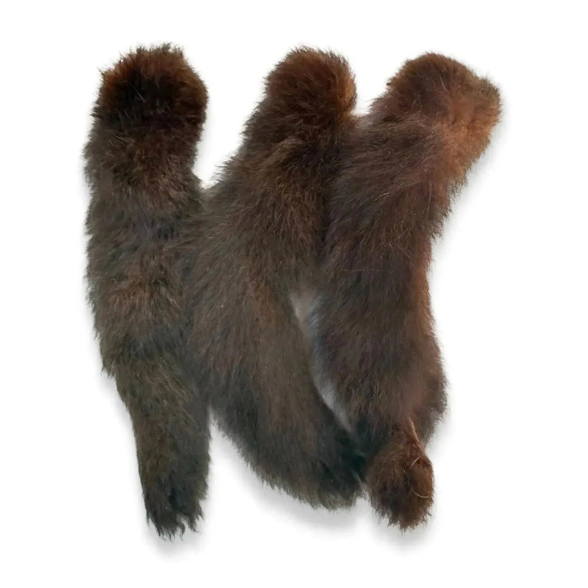 Three dark brown fur tails with rounded ends, arranged overlapping on a white background.