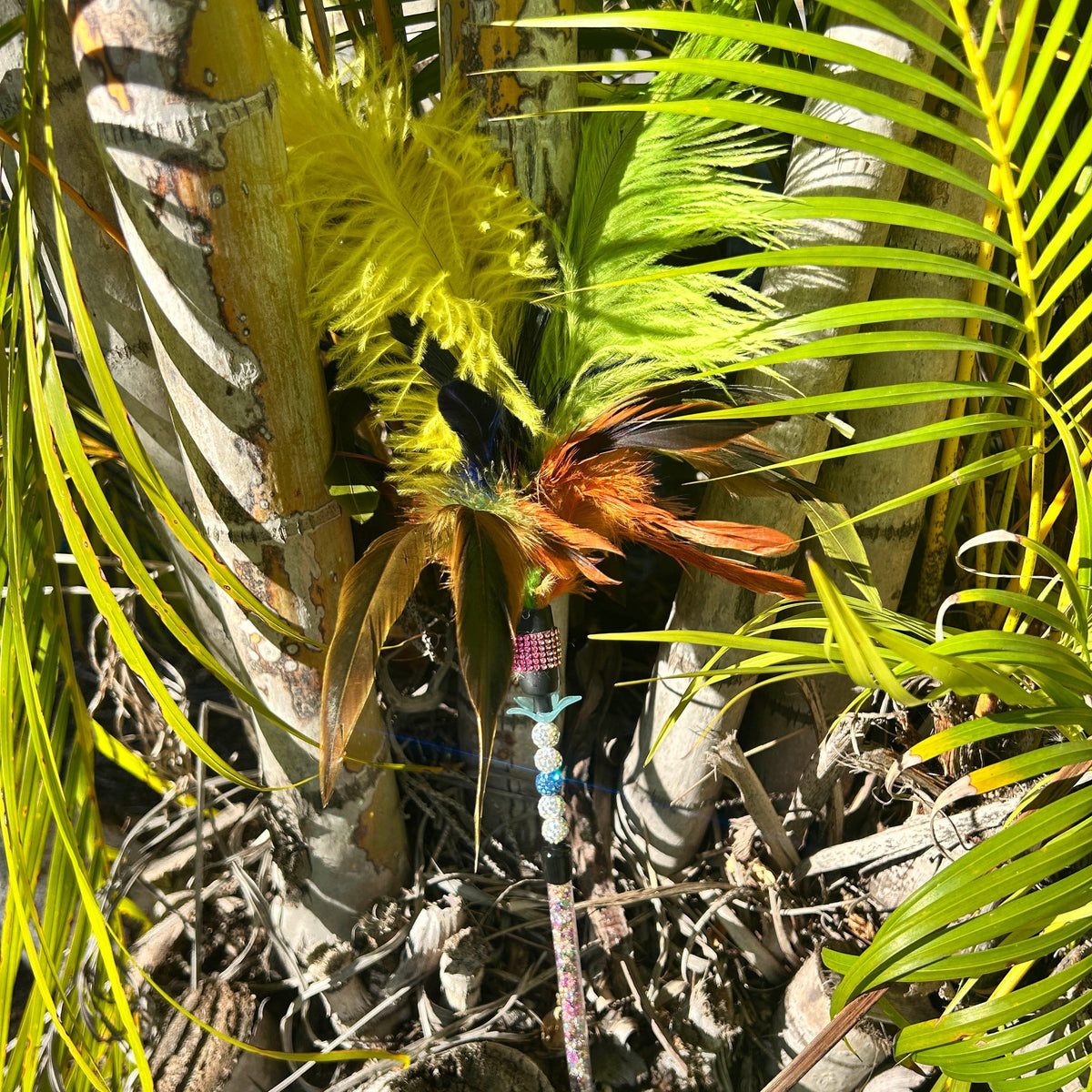 cat teaser hiding amongst palms