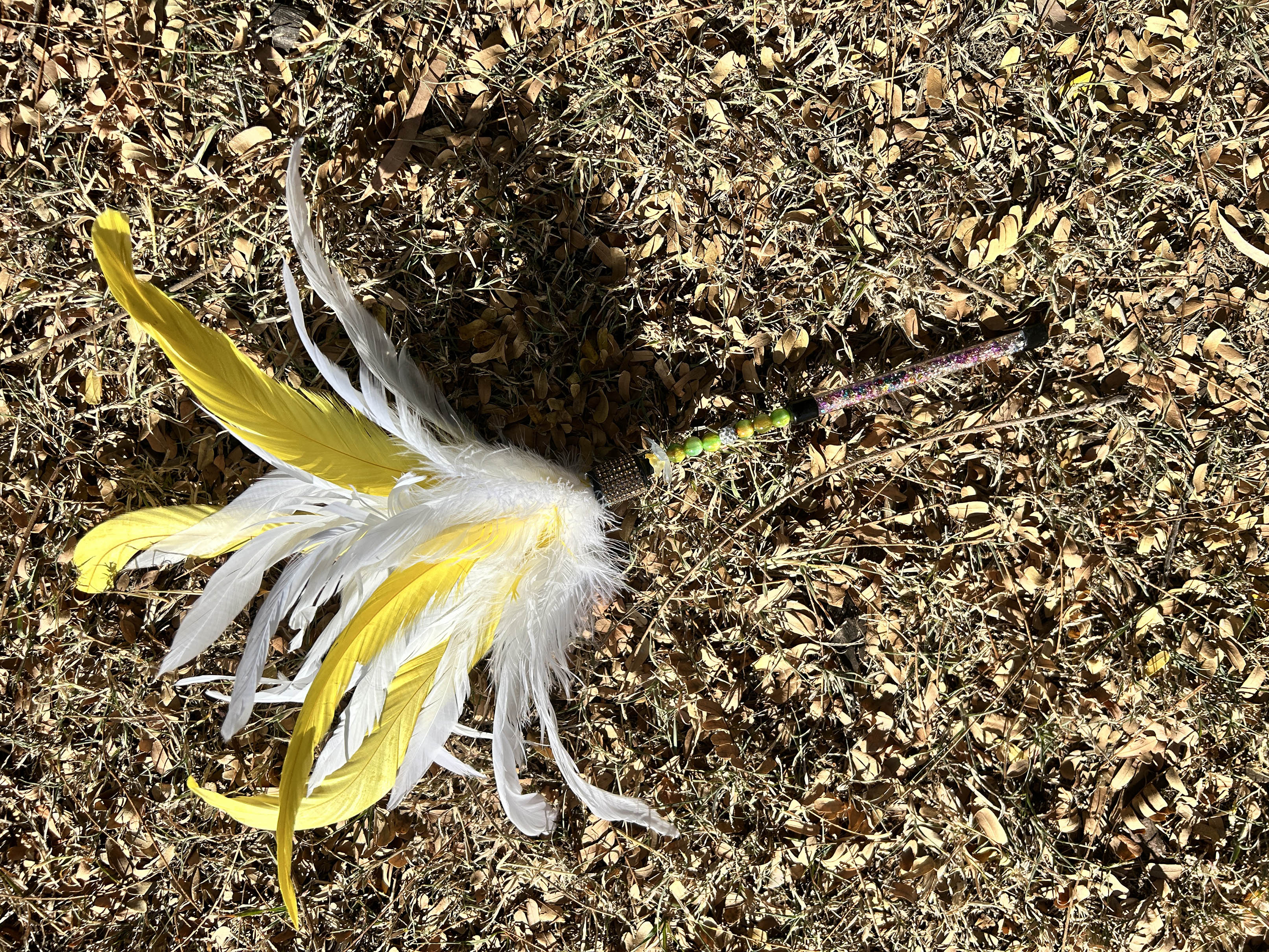 Sulphur Crested Cockatoo