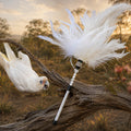 A white cockatoo perched on a tree branch in an outdoor natural setting at sunset, with a white feathered wand or toy attached to the branch.