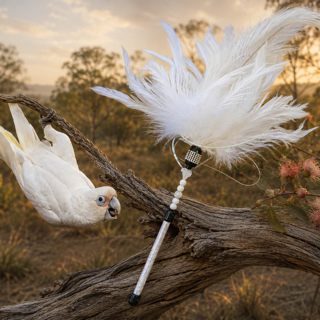 A white cockatoo perched on a tree branch in an outdoor natural setting at sunset, with a white feathered wand or toy attached to the branch.