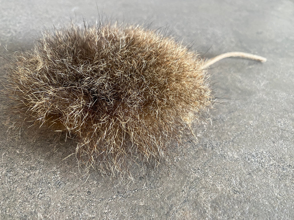 Road Kill