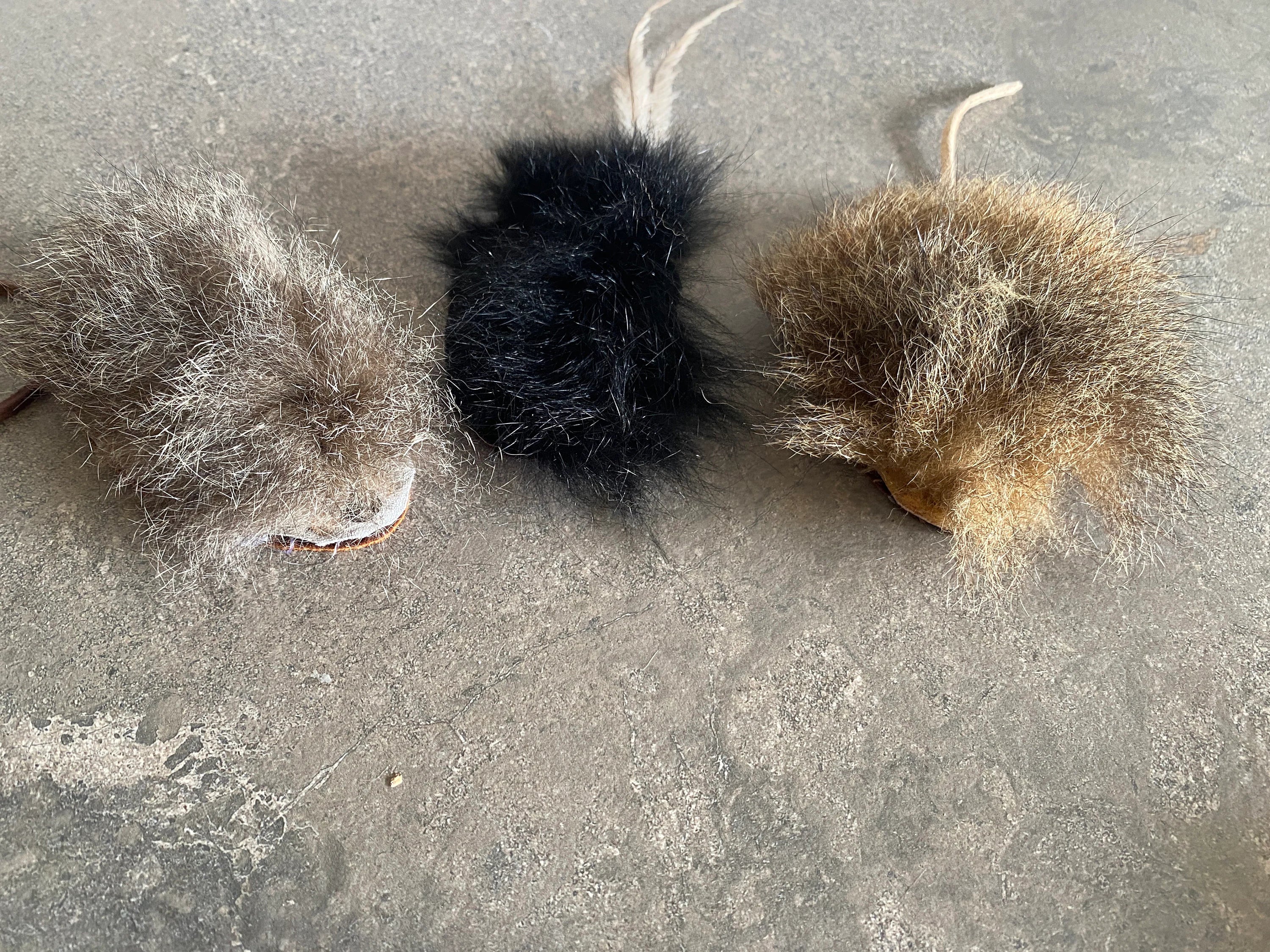 Road Kill