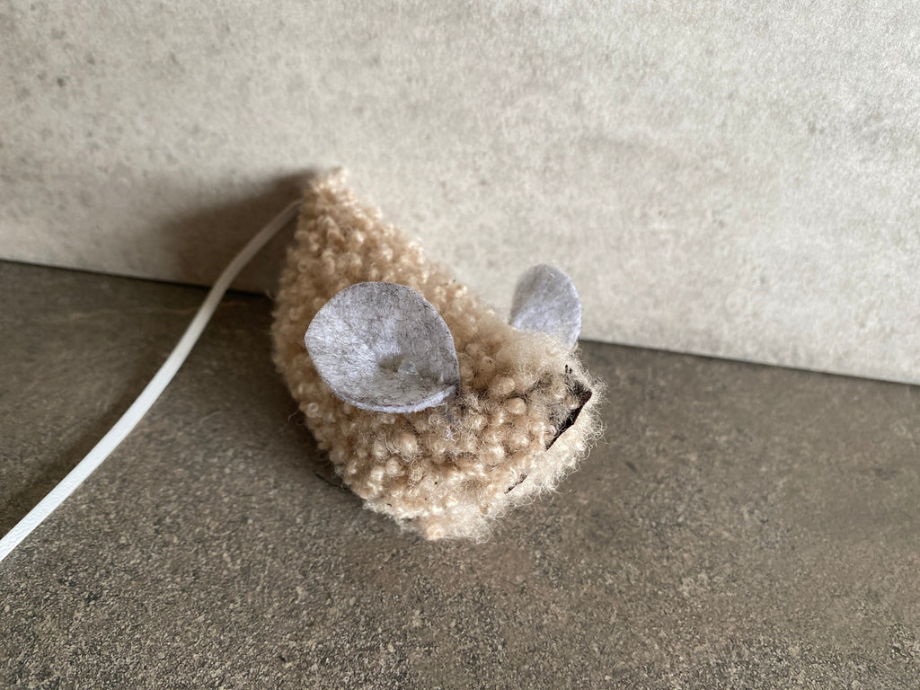 Lambkin