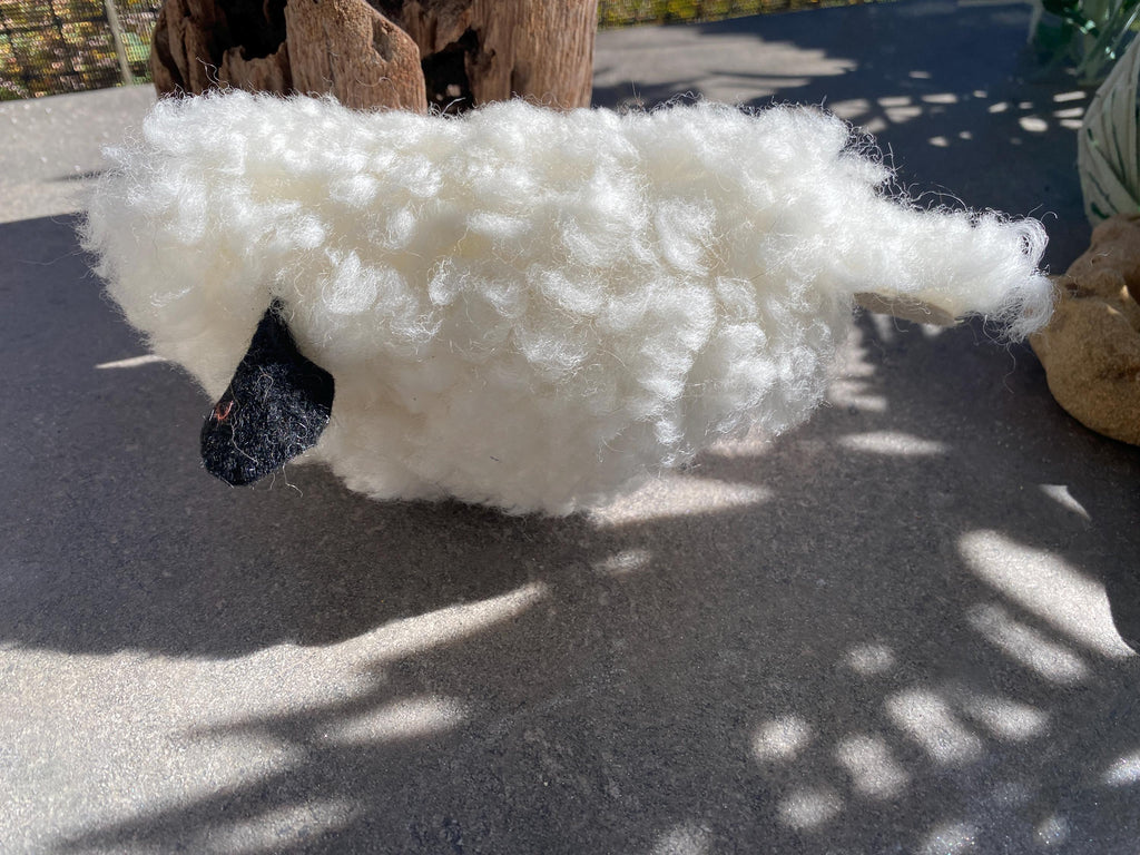 Woolly Wazza