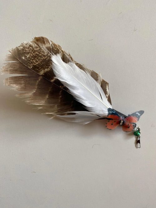 Flight of the Wild Turkey