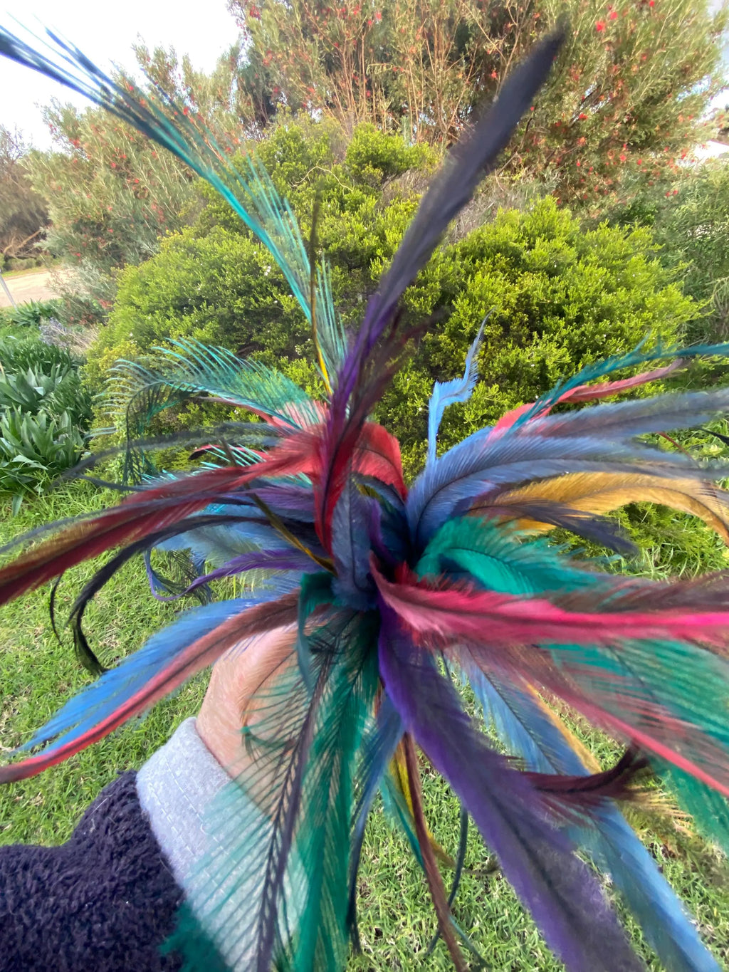 True Blue Emu Feather Teaser