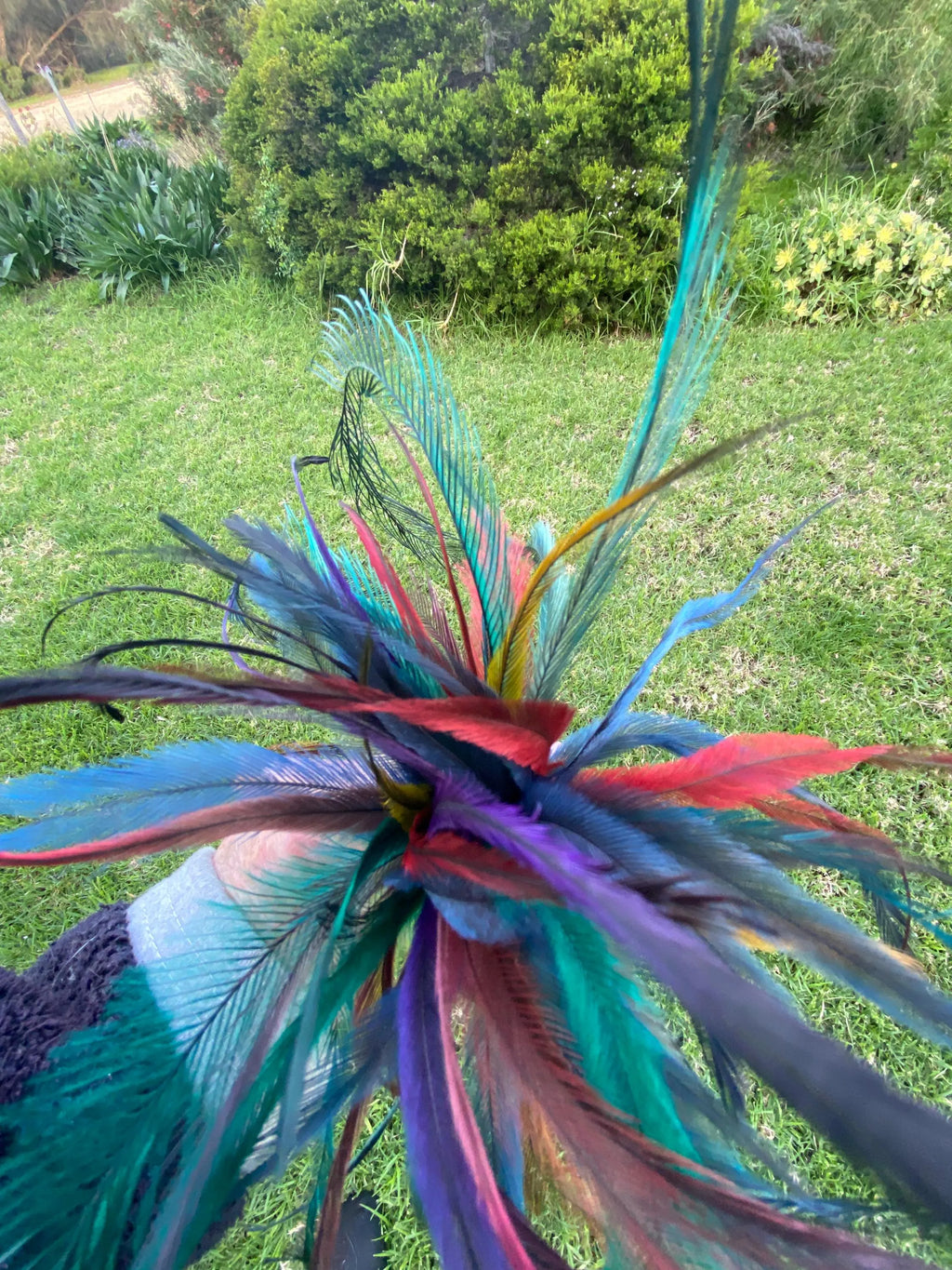 True Blue Emu Feather Teaser