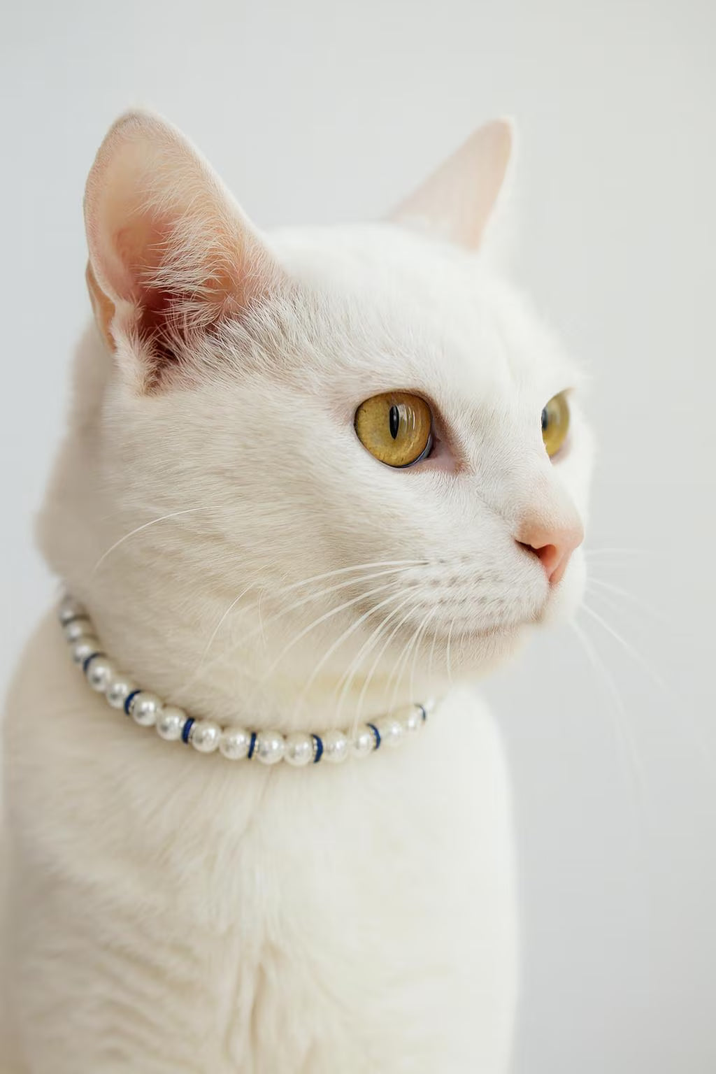 Elegant Pearl Cat Collar with Rhinestones