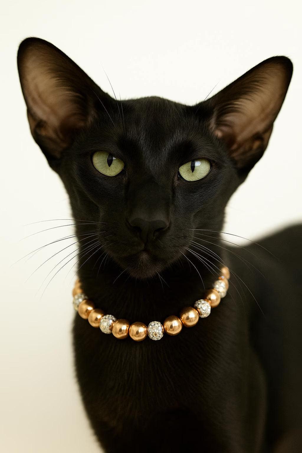 King Midas Gold