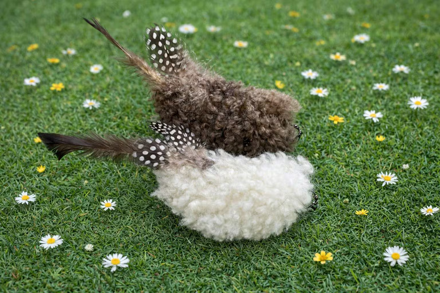 Woolly Flyer Attachment