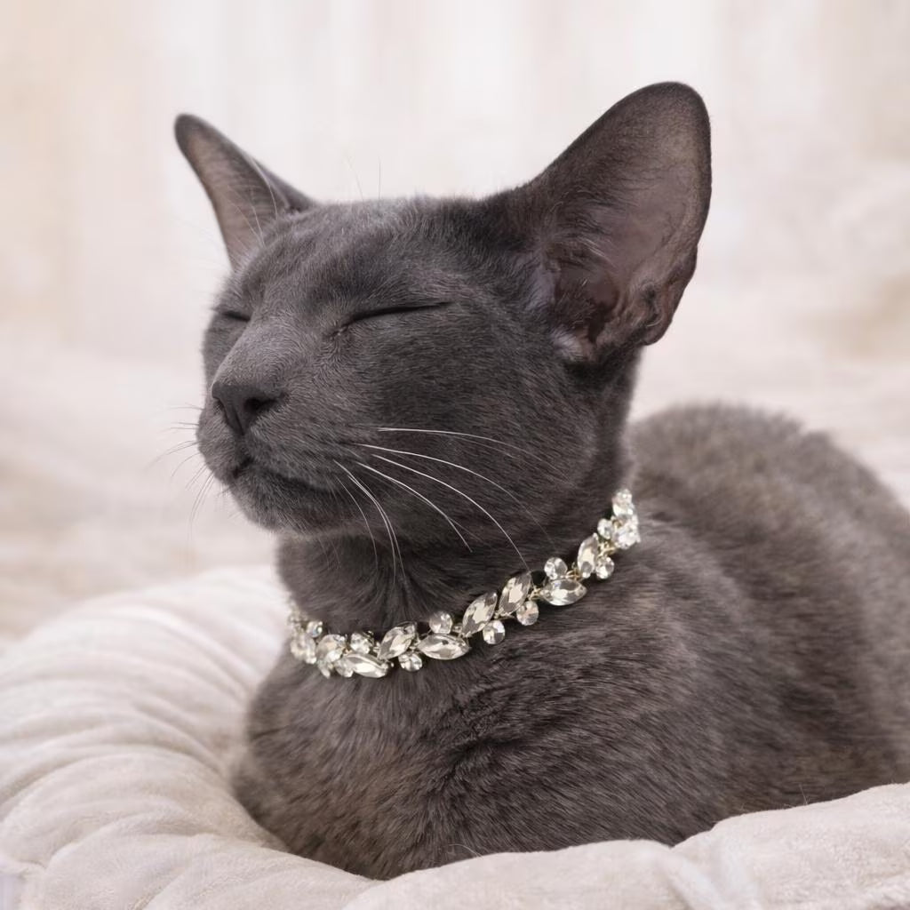 Rhinestone Cat Collar