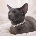Rhinestone Cat Collar