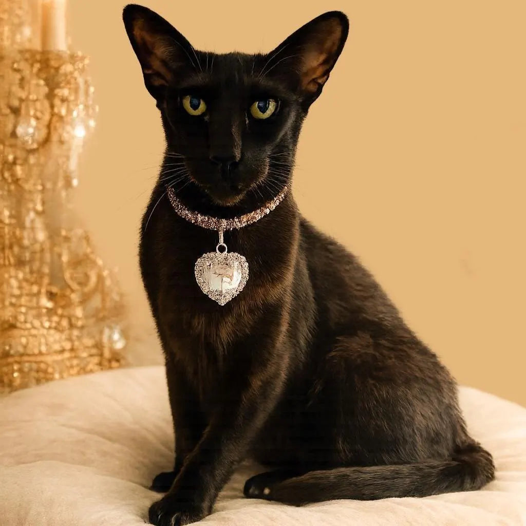 Gold & Silver Crystal Cat Collar with Heart Charm
