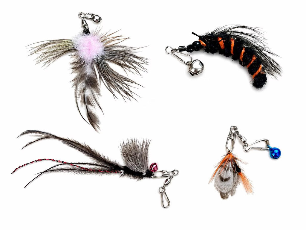 Nocturne Collection