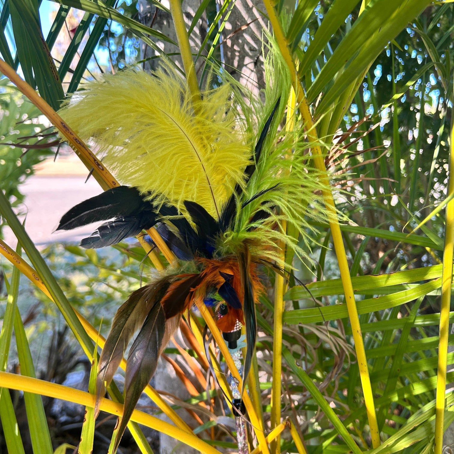 A colorful cat teaser with bright yellow, lime green, black, and orange feathers  photographed outdoors among palm leaves and grass.