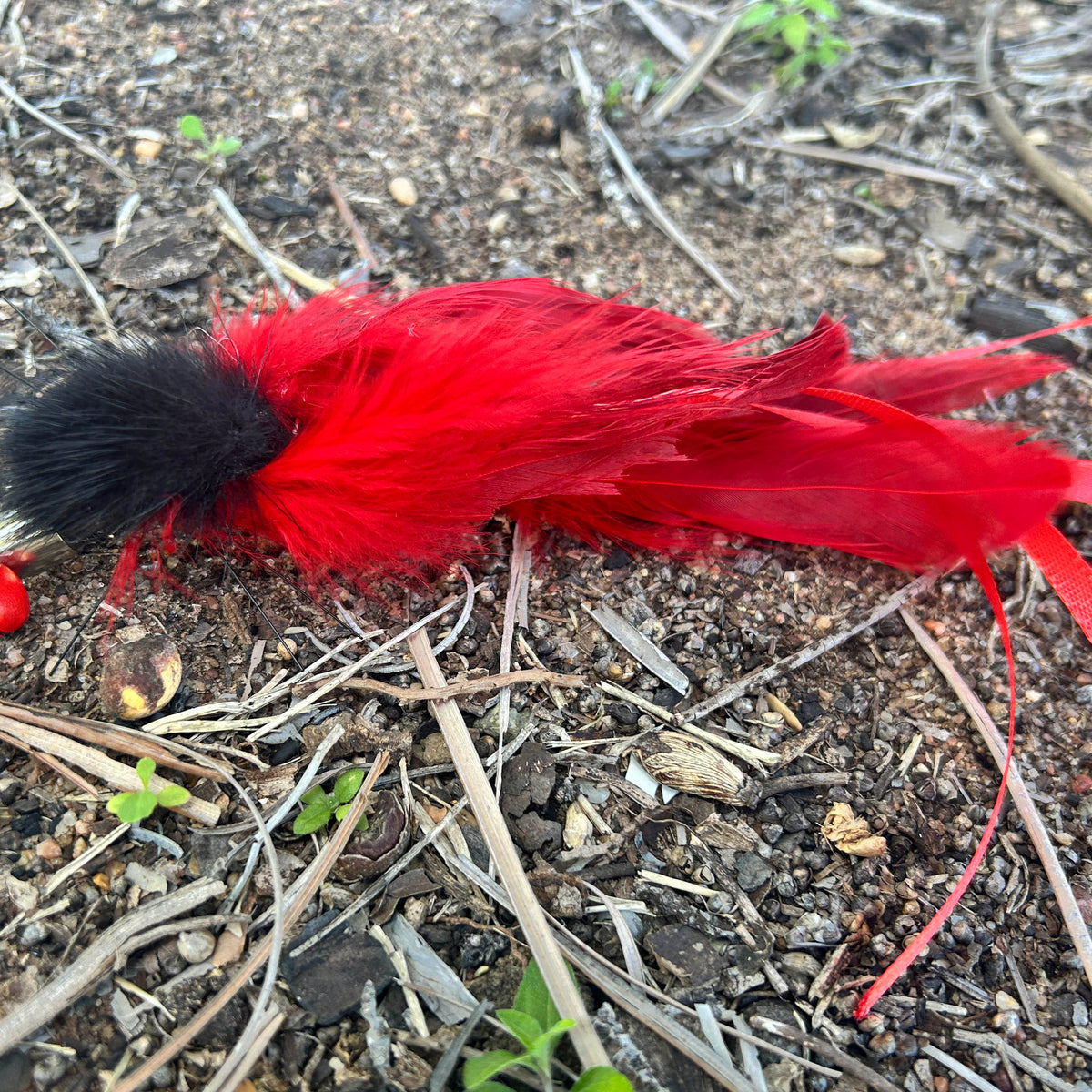 A red and black feathered cat lure with a red ribbon tail, resting on a natural dirt and leaf litter ground surface.