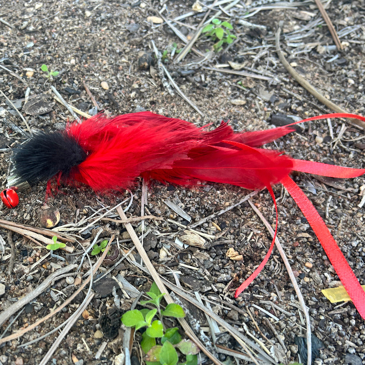 A red and black feathered tail accessory with red ribbons and a small red bead, lying on dry soil and twigs outdoors.
