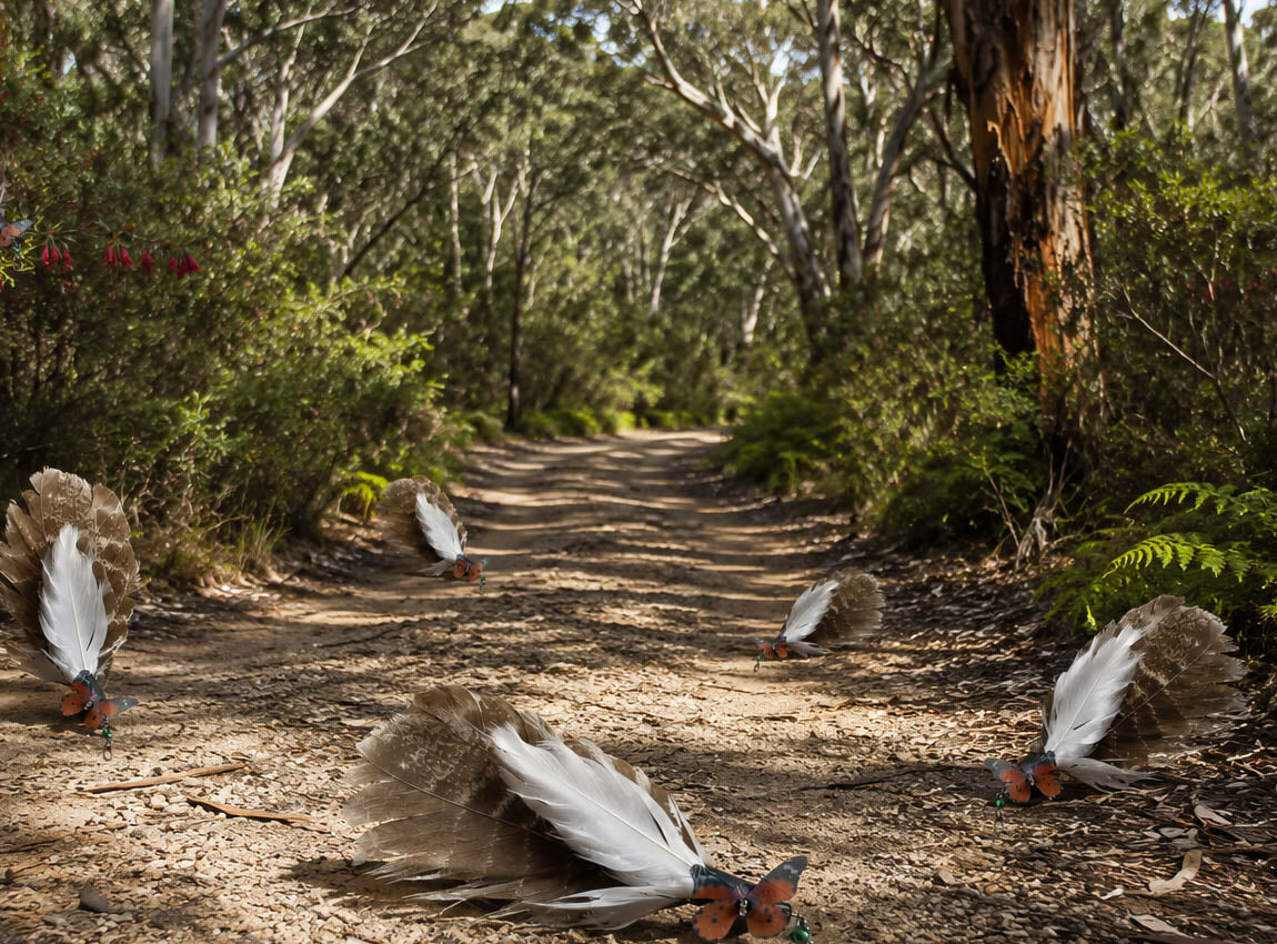 Flight of the Wild Turkey
