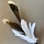 A cat lure featuring realistic brown and white patterned feathers attached to a black body with a small red bead and silver metal hook, photographed on a neutral beige background.