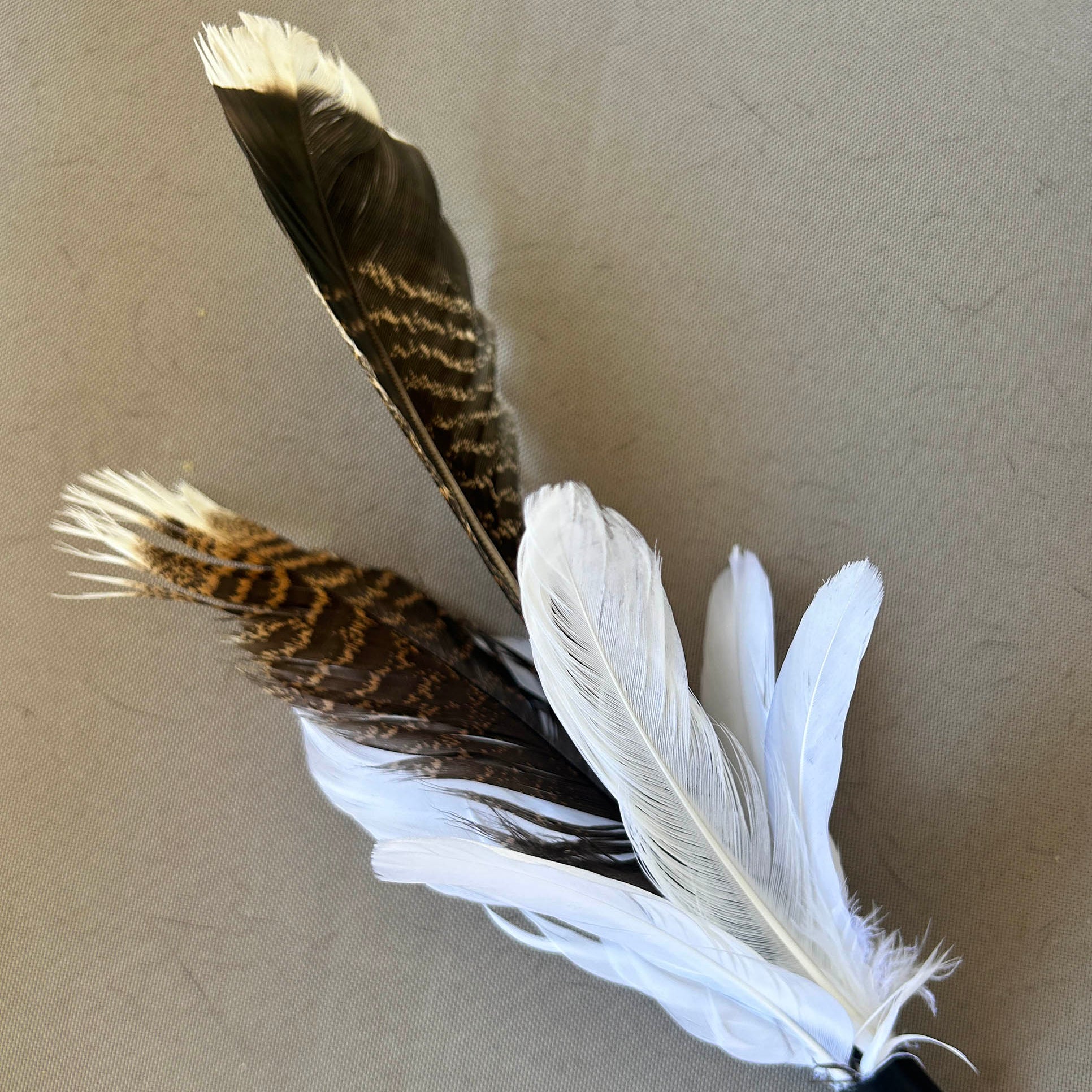A cat lure featuring realistic brown and white patterned feathers attached to a black body with a small red bead and silver metal hook, photographed on a neutral beige background.
